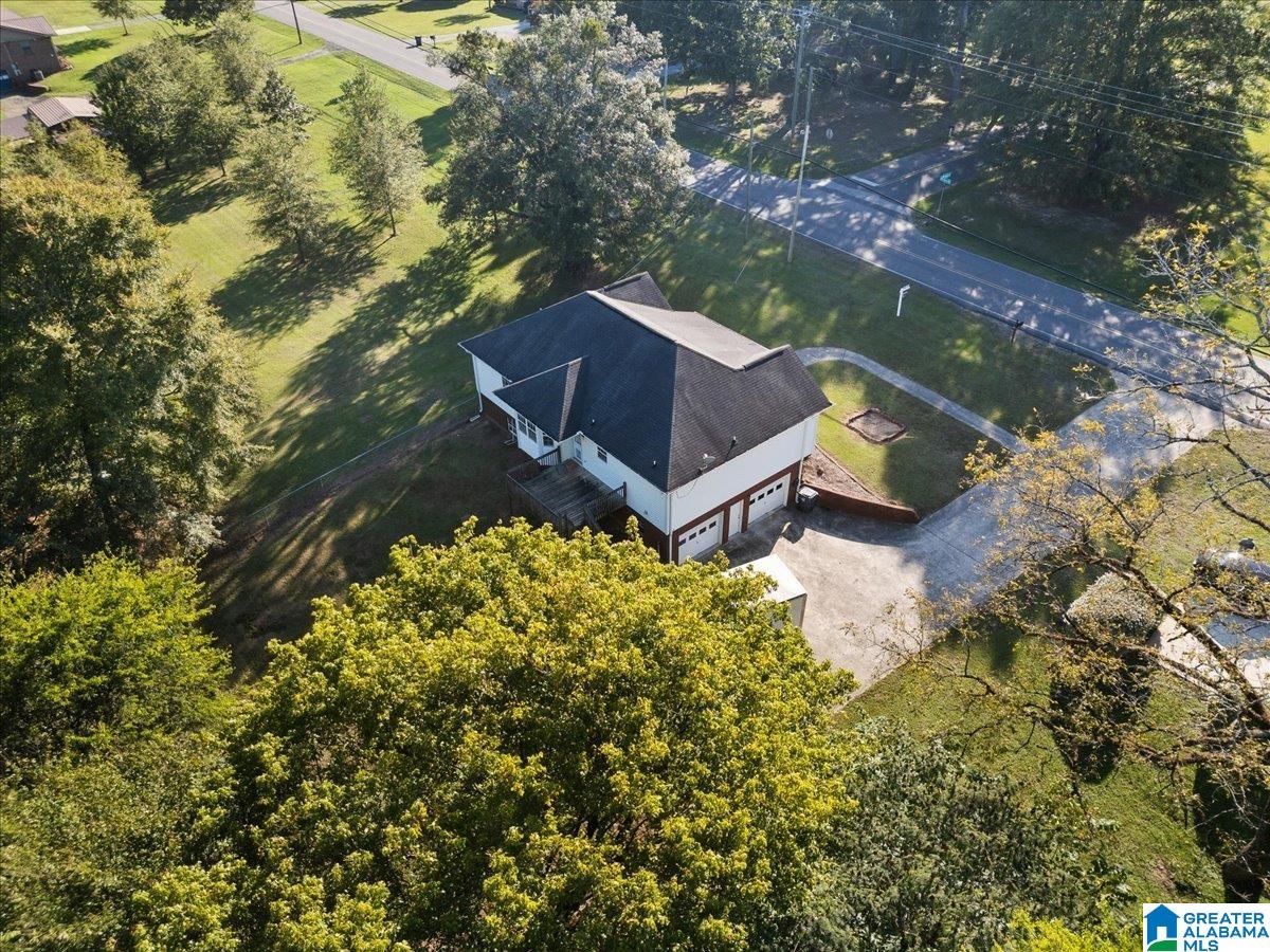 3641 Mt Olive Road Mount Olive, AL 35117 - Photo 34 of 35