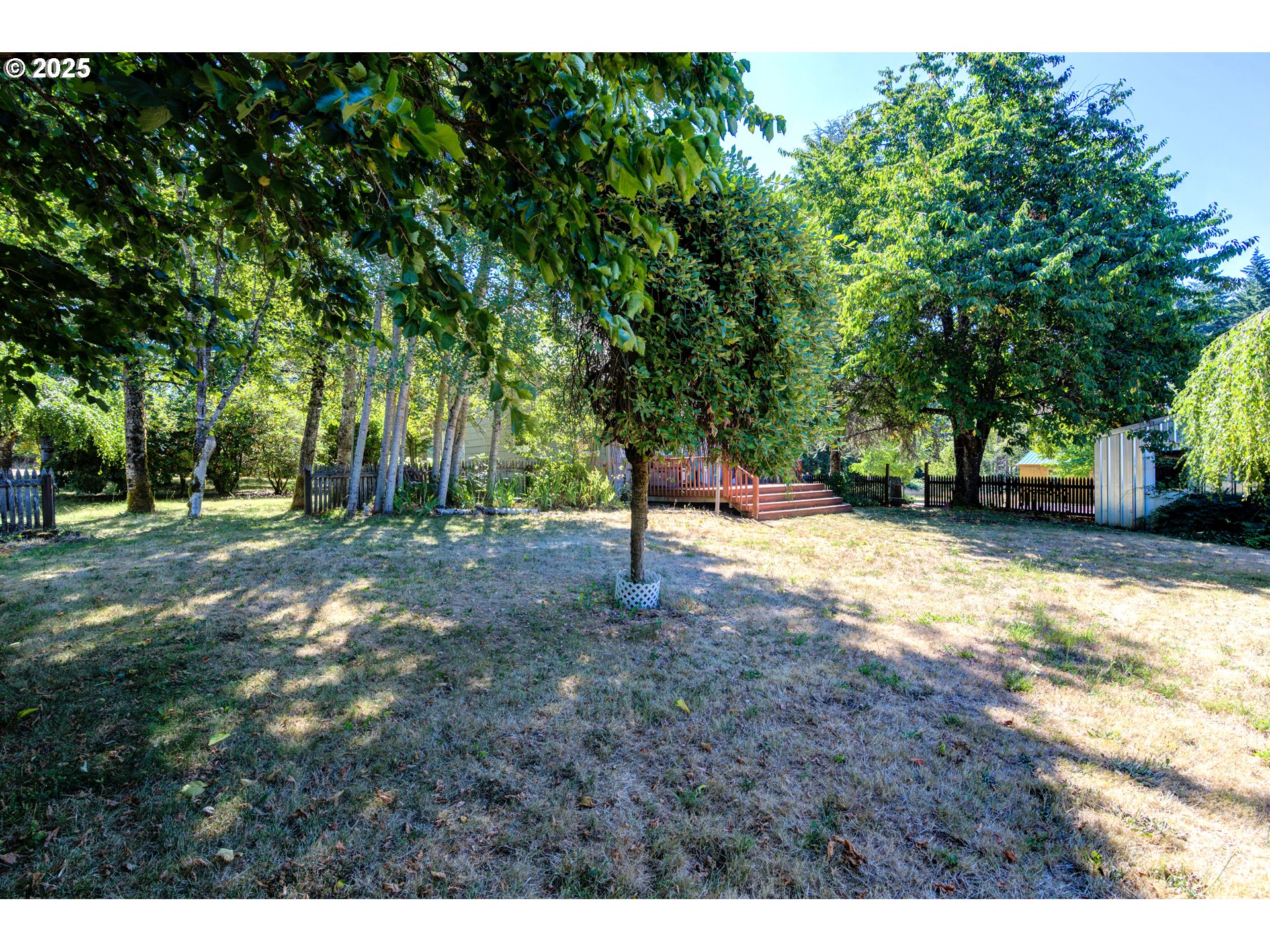 25113 South Ridge Road Beavercreek, OR 97004 - Photo 19 of 43 a view of a yard with trees