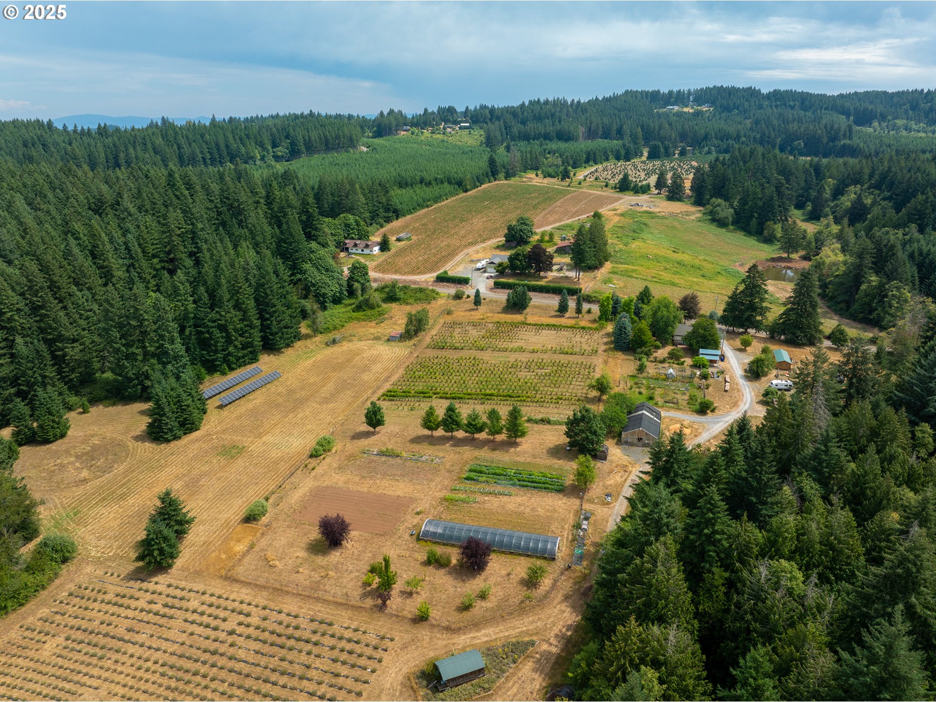 25113 South Ridge Road Beavercreek, OR 97004 - Photo 33 of 43 a view of a swimming pool with a garden