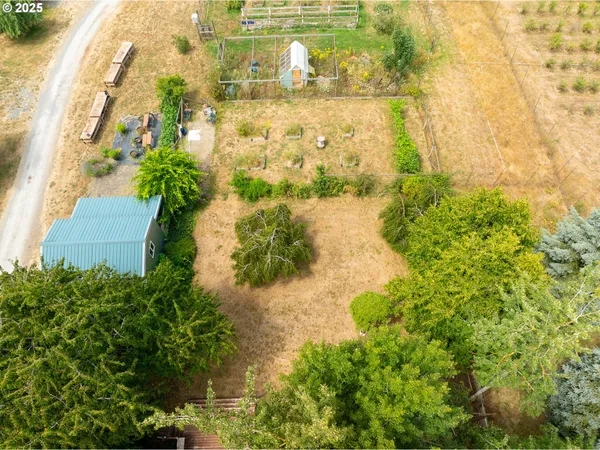 a view of a garden with plants