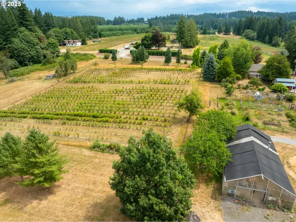 a view of a yard