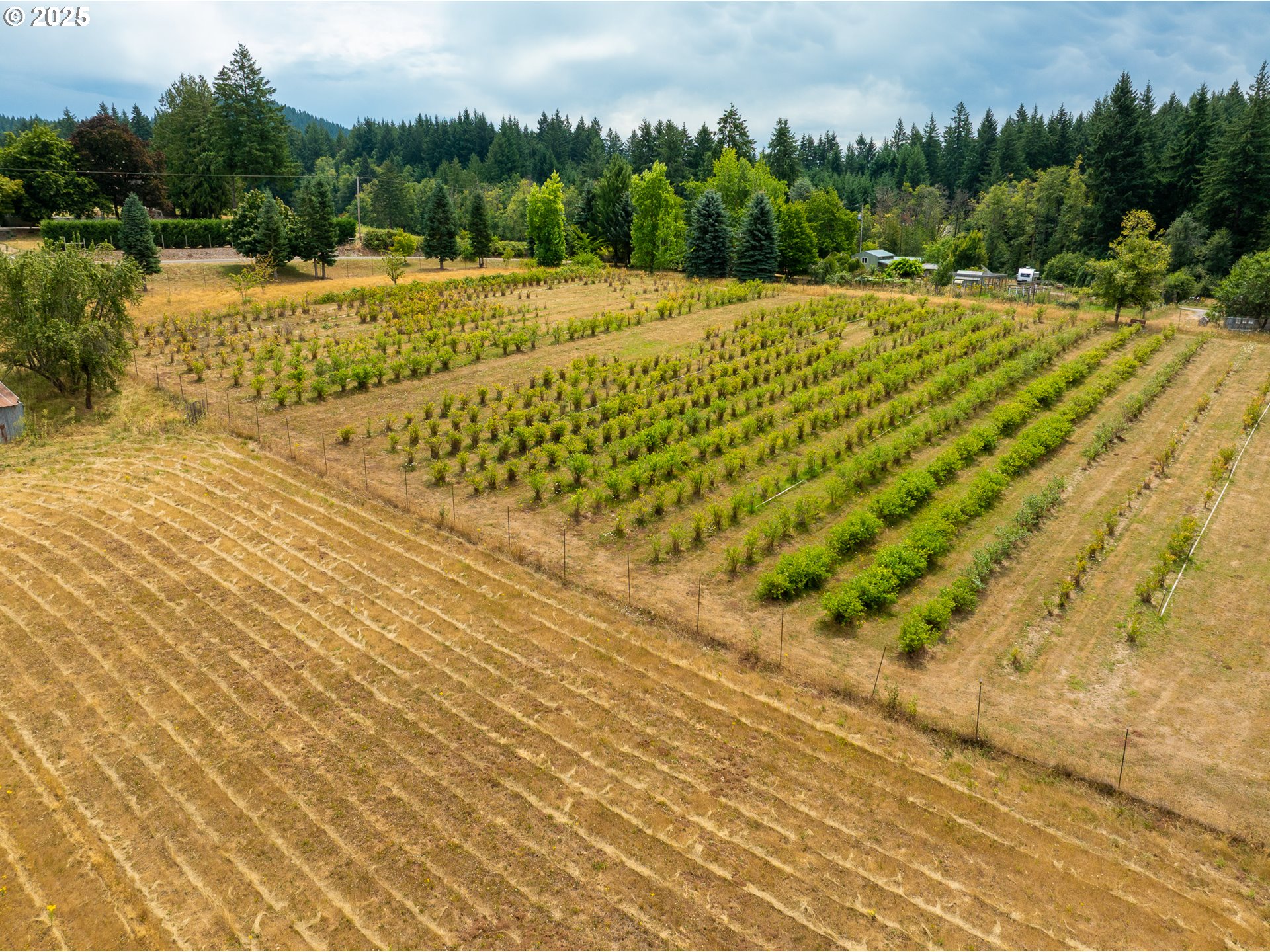 25113 South Ridge Road Beavercreek, OR 97004 - Photo 41 of 43 a view of a yard
