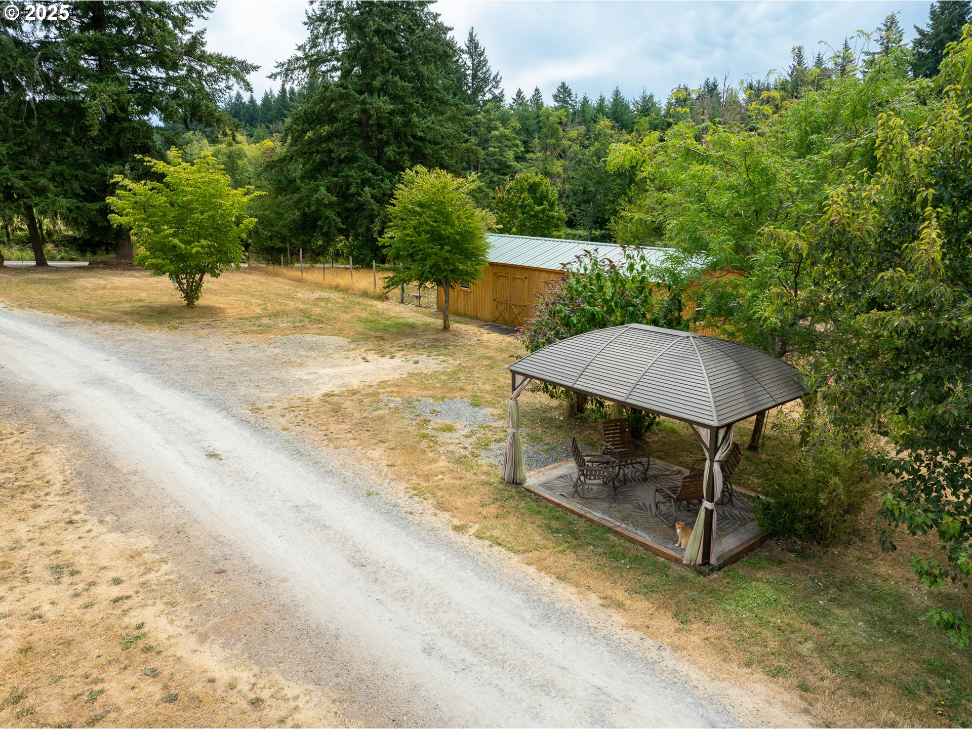 25113 South Ridge Road Beavercreek, OR 97004 - Photo 43 of 43 a backyard of a house with yard and trampoline