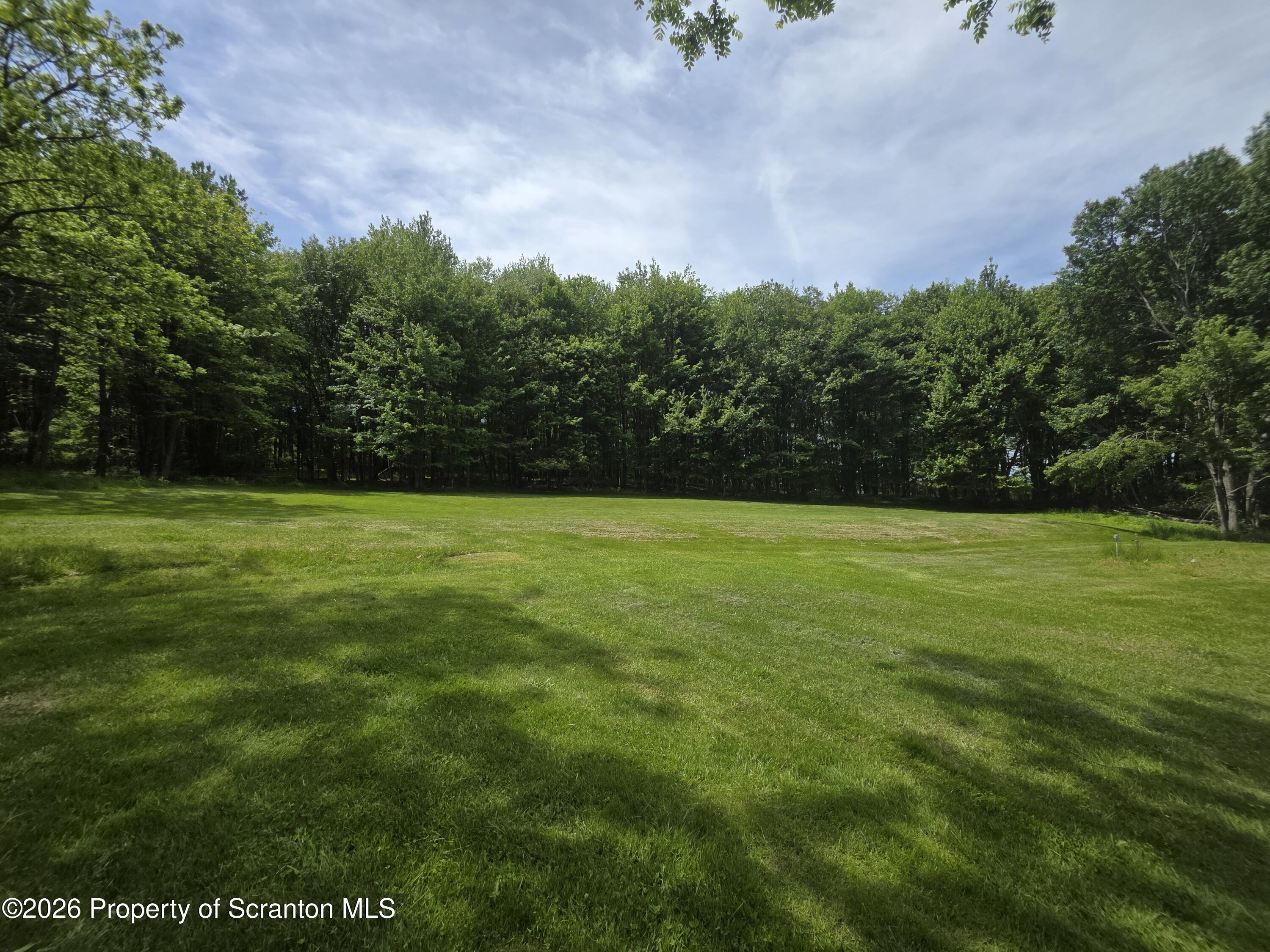 1333 Blue Berry Road Falls, PA 18615 - Photo 37 of 50 Yard