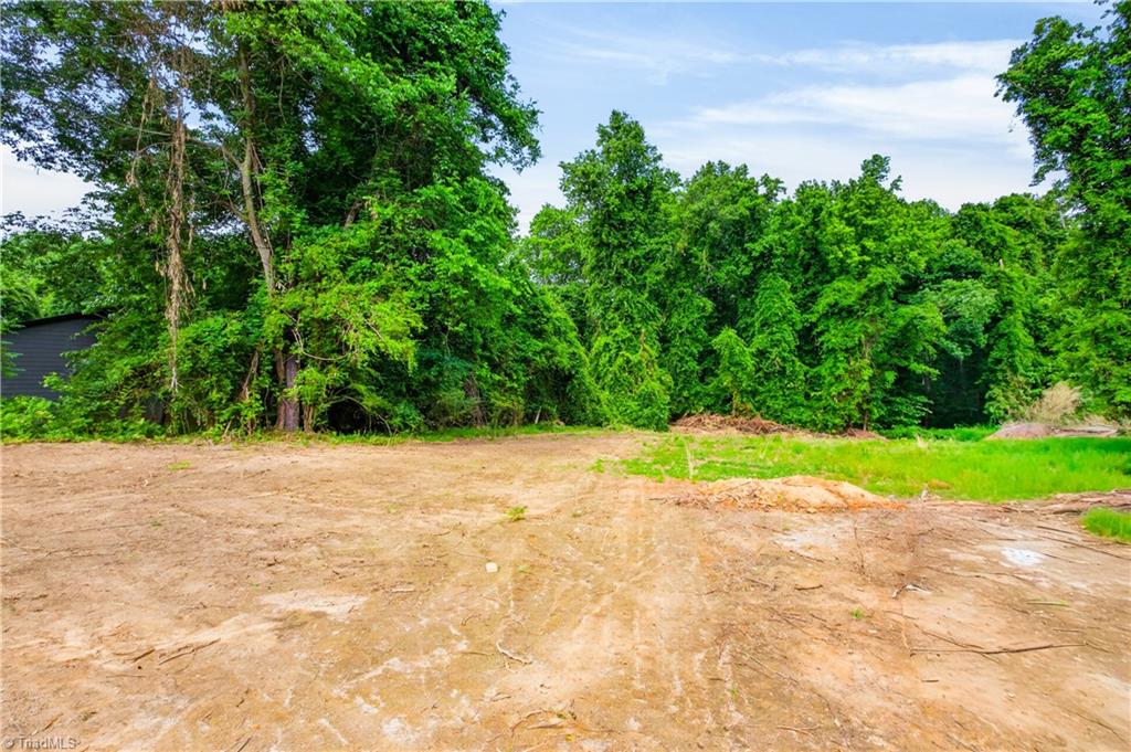 391 Needmore Road Carthage, NC 28327 - Photo 21 of 22
