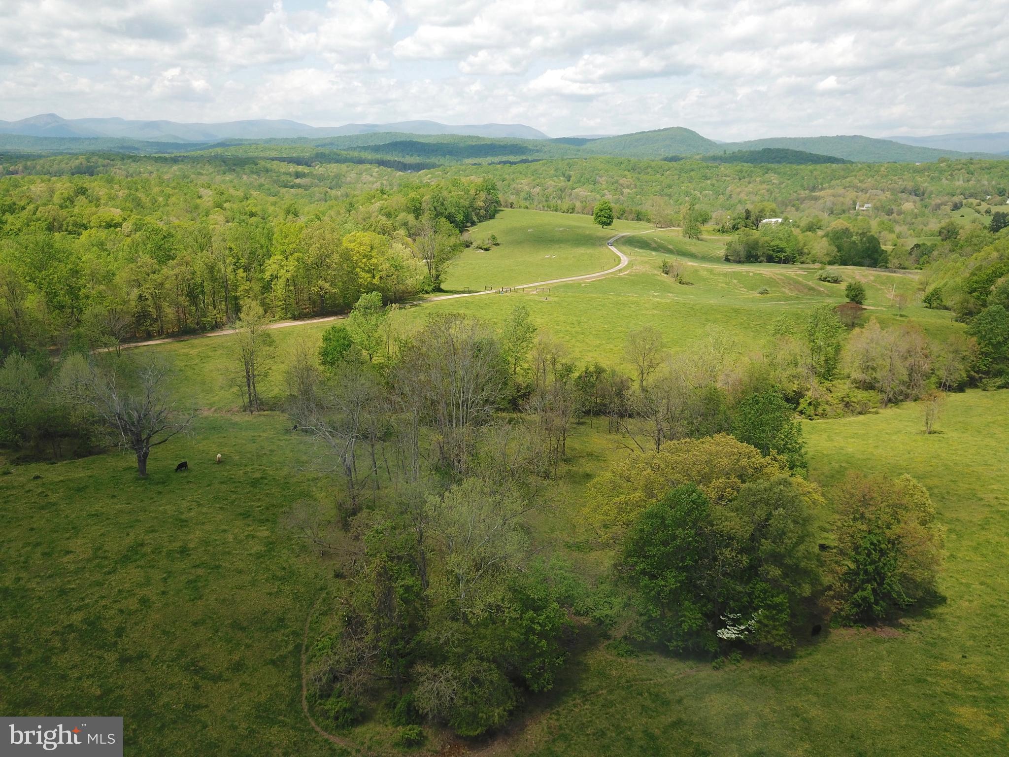 8780 Old Stillhouse Road Rixeyville, VA 22737 - Photo 2 of 28 a view of an outdoor space and a yard
