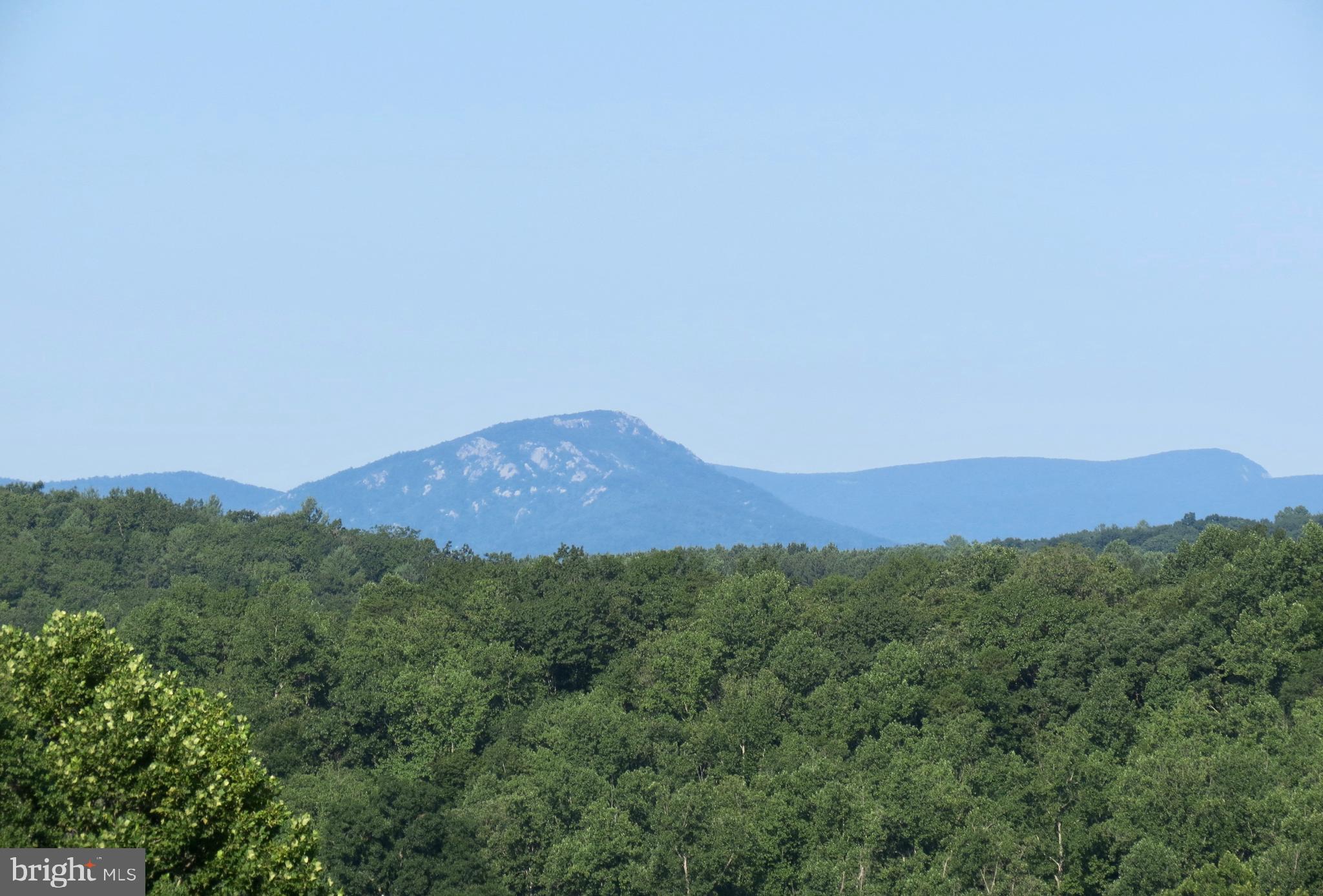 8780 Old Stillhouse Road Rixeyville, VA 22737 - Photo 16 of 28 a view of a mountain range with lush green forest
