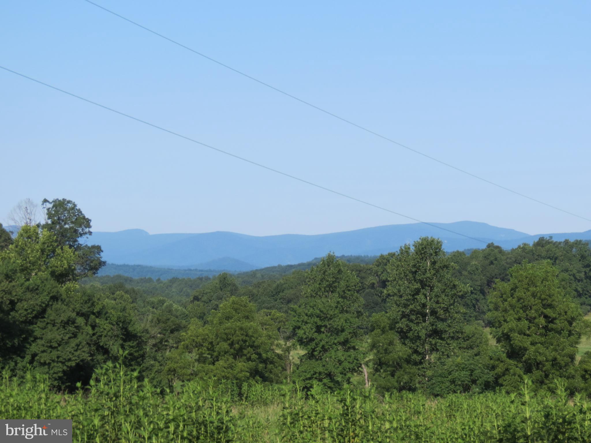 8780 Old Stillhouse Road Rixeyville, VA 22737 - Photo 17 of 28