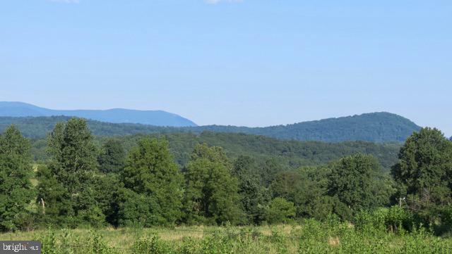 8780 Old Stillhouse Road Rixeyville, VA 22737 - Photo 18 of 28 a view of a lush green forest with trees in the background