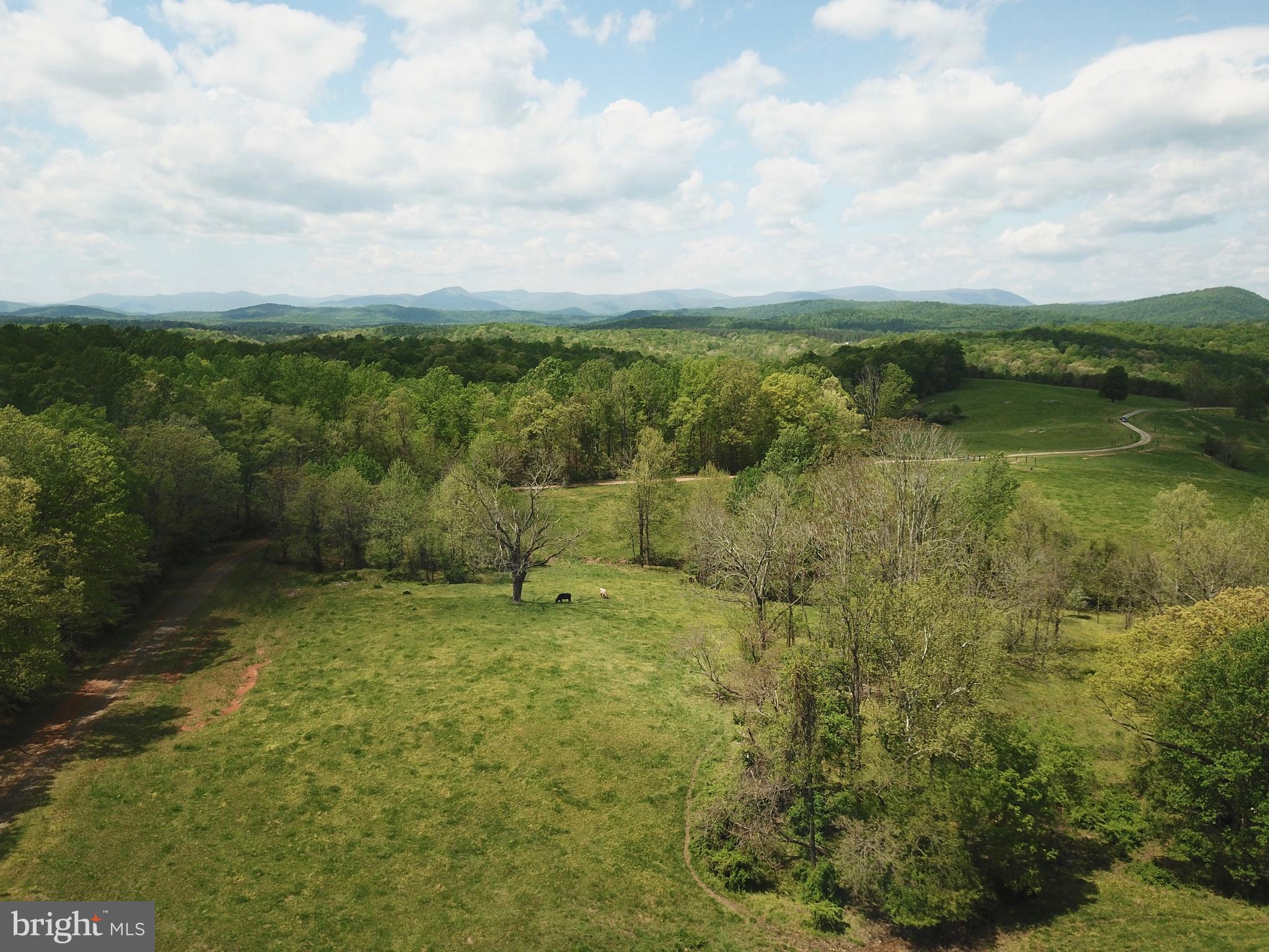 8780 Old Stillhouse Road Rixeyville, VA 22737 - Photo 24 of 28 a view of outdoor space and garden