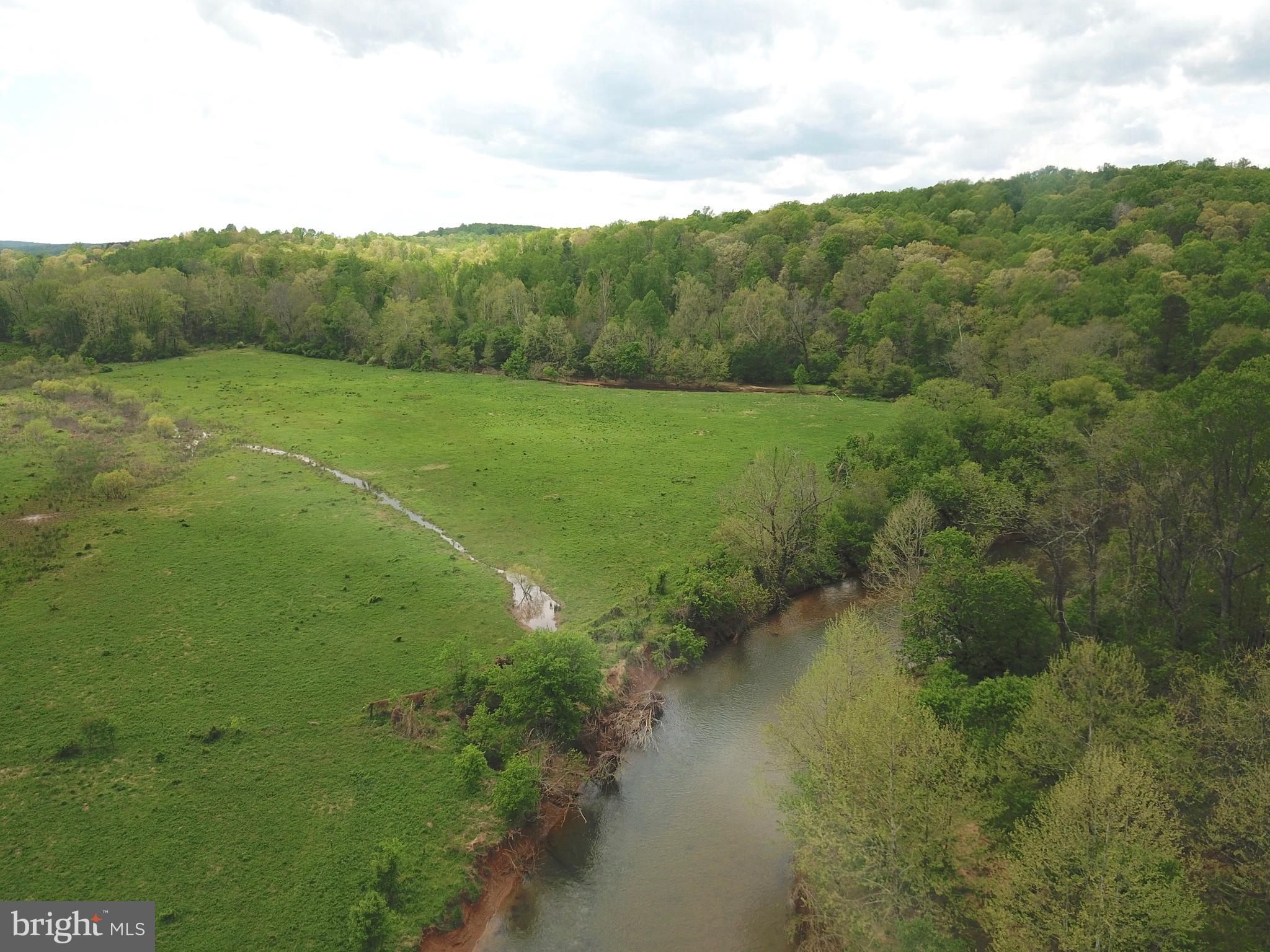 8780 Old Stillhouse Road Rixeyville, VA 22737 - Photo 4 of 28 a view of a lush green forest with trees
