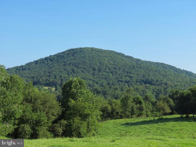 8780 Old Stillhouse Road Rixeyville, VA 22737 - Photo 8 of 28 a view of a big yard with a large tree