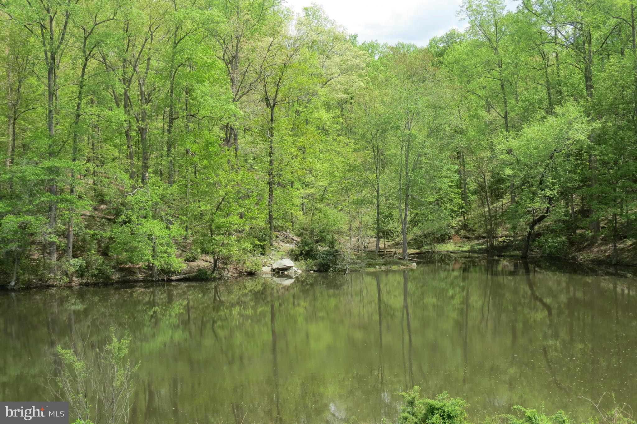 8780 Old Stillhouse Road Rixeyville, VA 22737 - Photo 10 of 28 a view of lake