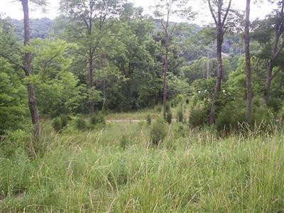 4445 Dale Williamson Road Union, KY 41091 - Photo 1 of 1 Gallery Image 1