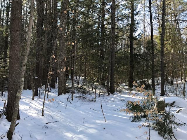 0 Saddleback Road East Baldwin, ME 04024 - Photo 11 of 23 IMG_4641