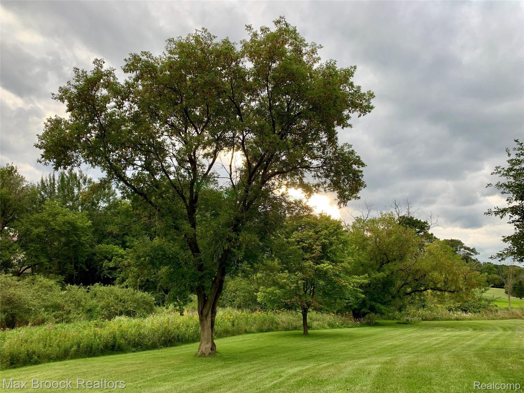 7751 Farley Road Pinckney, MI 48169 - Photo 14 of 55 23E45216-7D3A-4CDE-A6D7-A00F719CACB1.jpeg