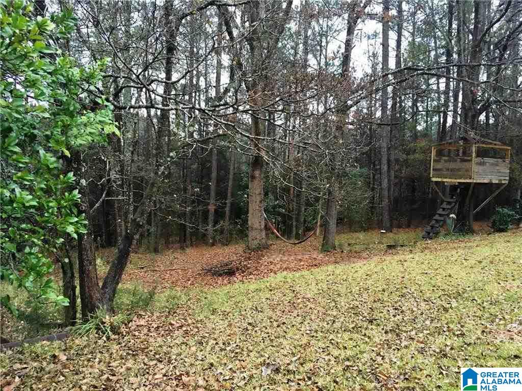 66 Dogwood Road Centreville, AL 35042 - Photo 29 of 31