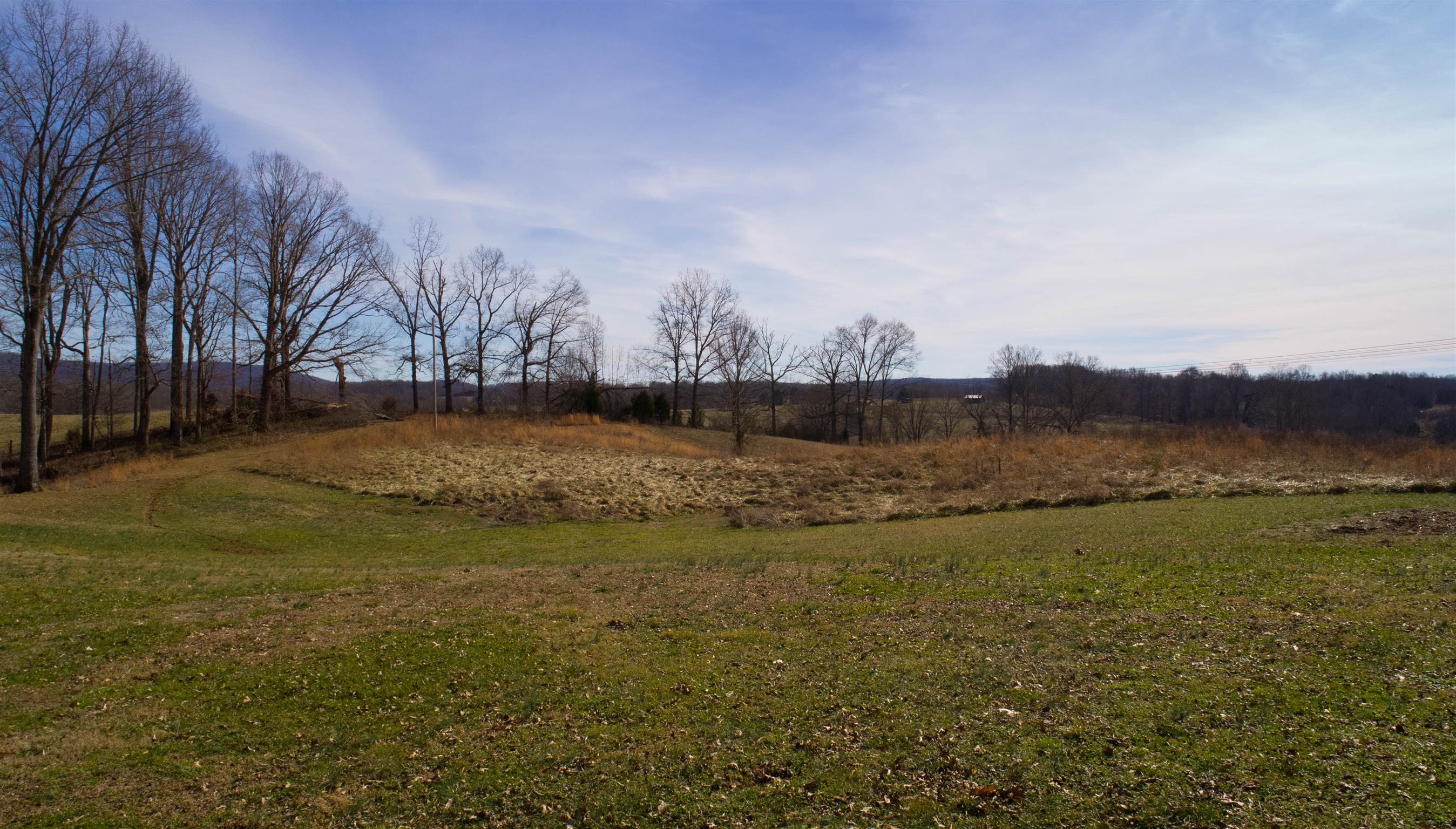 2141 Cunningham Road Cookeville, TN 38506 - Photo 29 of 30 The view from the deck. So quiet and peaceful out here.