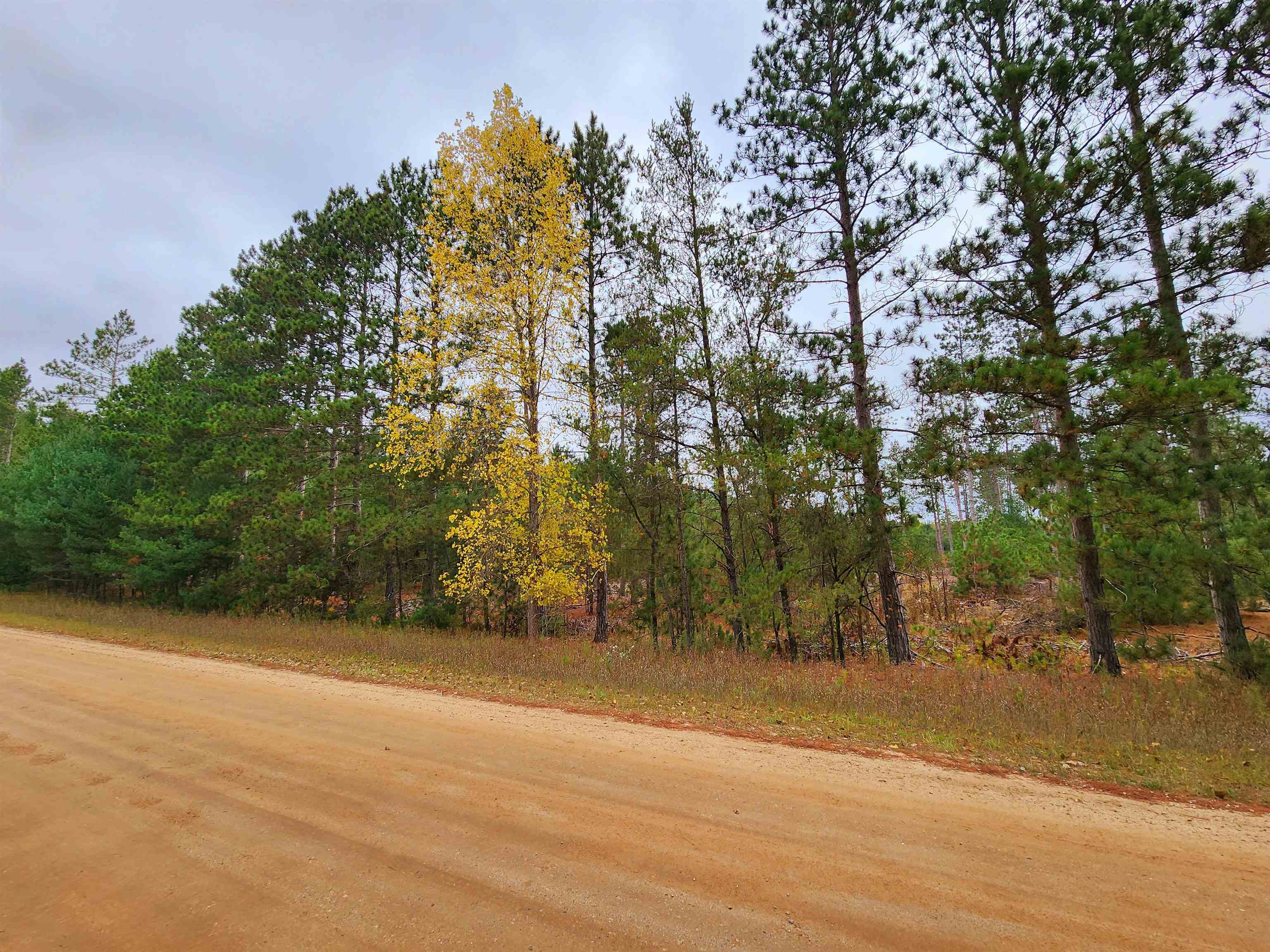 0 Niemi Road Kaleva, MI 49645 - Photo 21 of 23