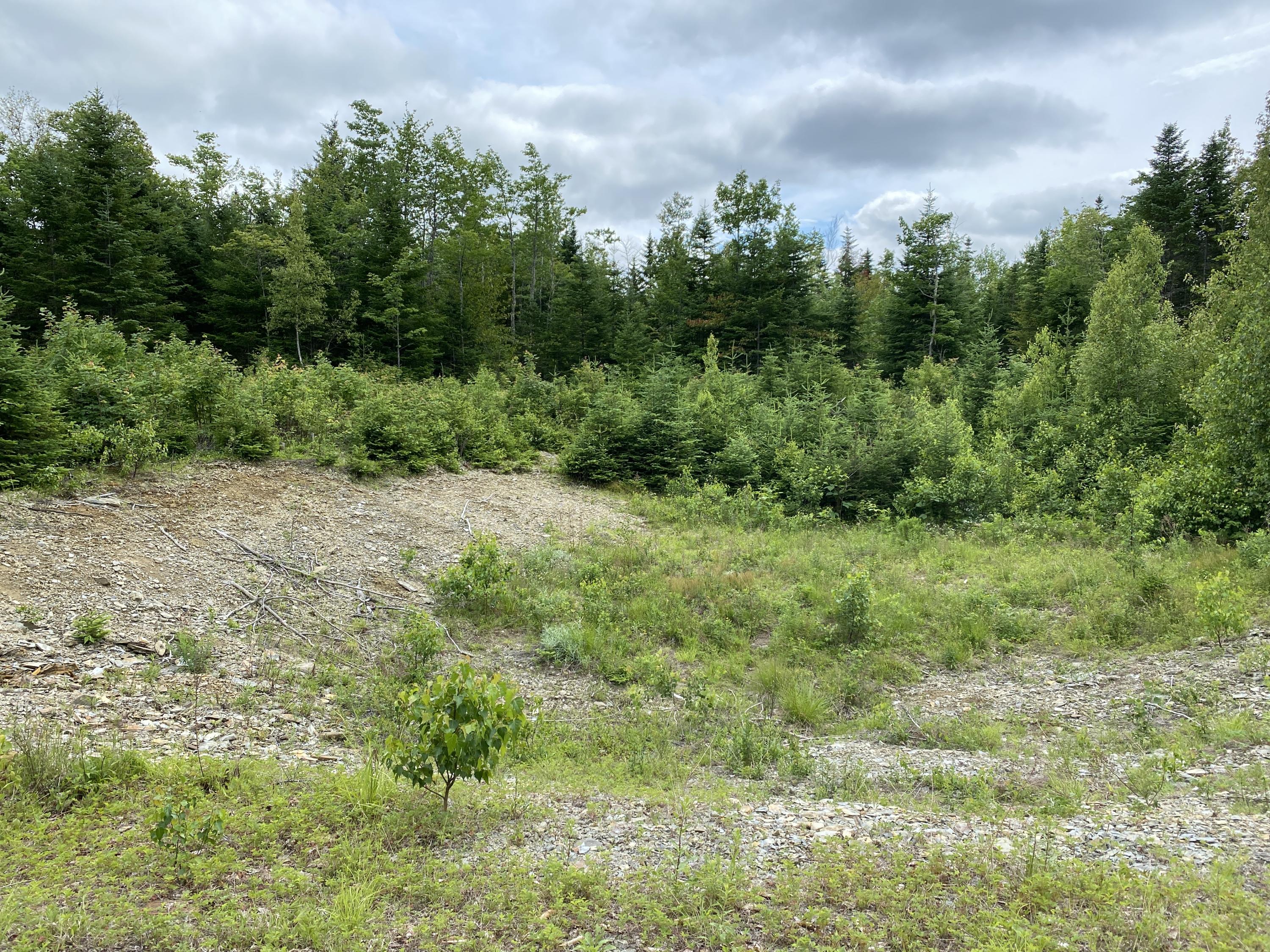 Lot 10 Averill Road Springfield, ME 04487 - Photo 5 of 18 IMG_0620