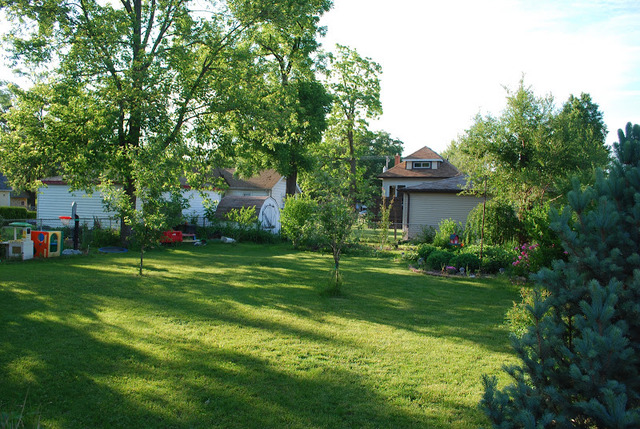 1318 Hickory Road Homewood, IL 60430 - Photo 2 of 21 a view of a white house in front of a big yard with plants and large trees
