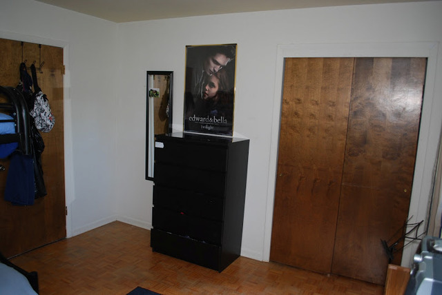 1318 Hickory Road Homewood, IL 60430 - Photo 13 of 21 a view of a closet