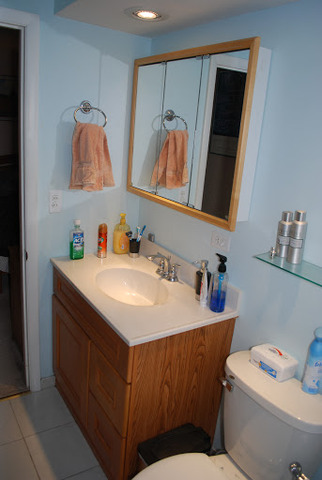 1318 Hickory Road Homewood, IL 60430 - Photo 19 of 21 a bathroom with a sink vanity and a mirror