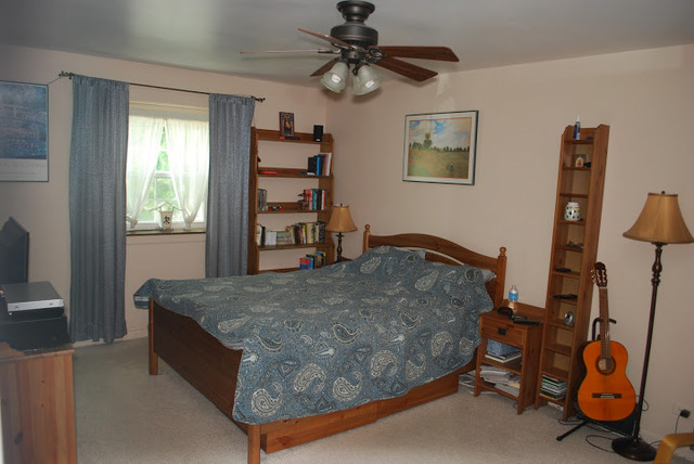 1318 Hickory Road Homewood, IL 60430 - Photo 20 of 21 a bedroom with bed and window