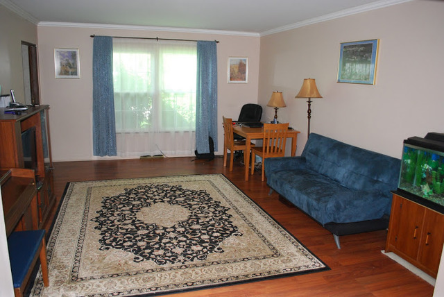 1318 Hickory Road Homewood, IL 60430 - Photo 4 of 21 a living room with furniture and a rug