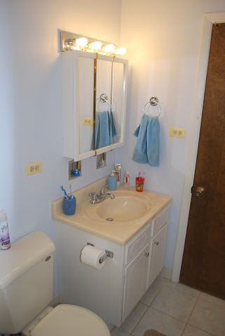1318 Hickory Road Homewood, IL 60430 - Photo 8 of 21 a bathroom with a sink and a toilet