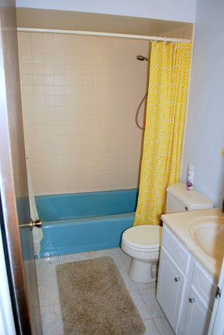 1318 Hickory Road Homewood, IL 60430 - Photo 9 of 21 a bathroom with a sink and a toilet