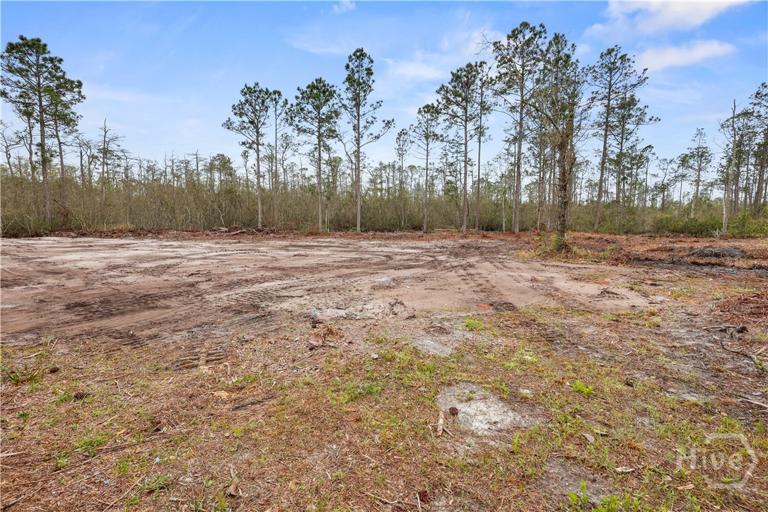 1795 Wilkinson Road Ludowici, GA 31316 - Photo 21 of 23 Gallery Image 21