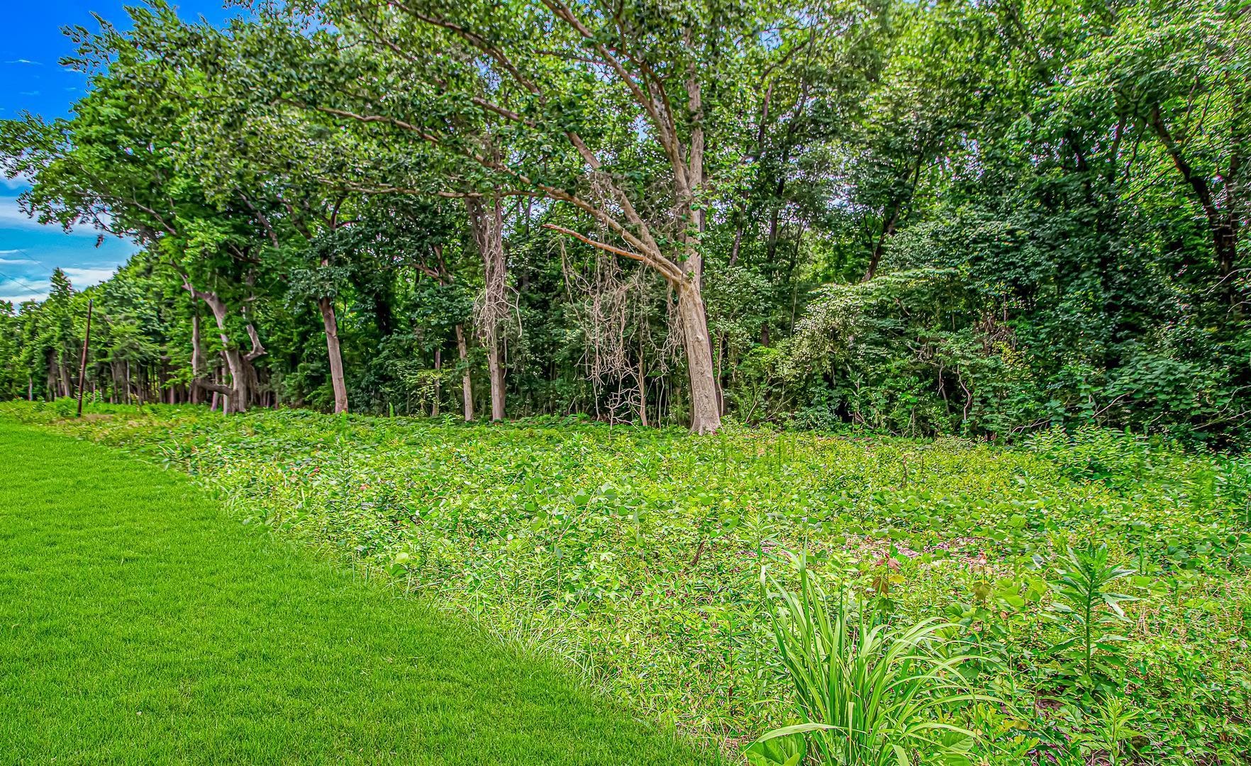 0 Millers Road Mullins, SC 29574 - Photo 8 of 16