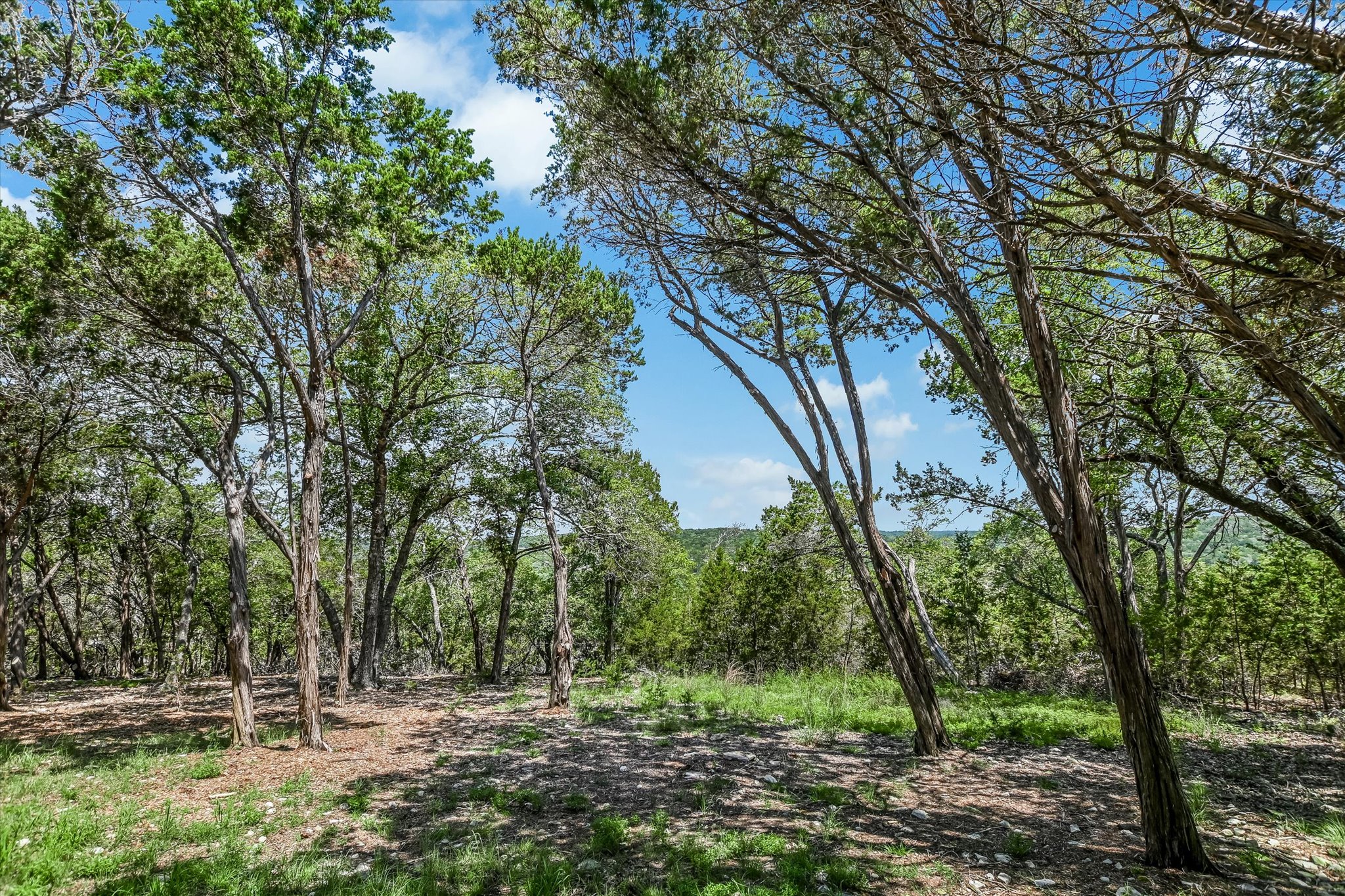 817 Woodcreek Ranch Road Wimberley, TX 78676 - Photo 35 of 40 Large private lot