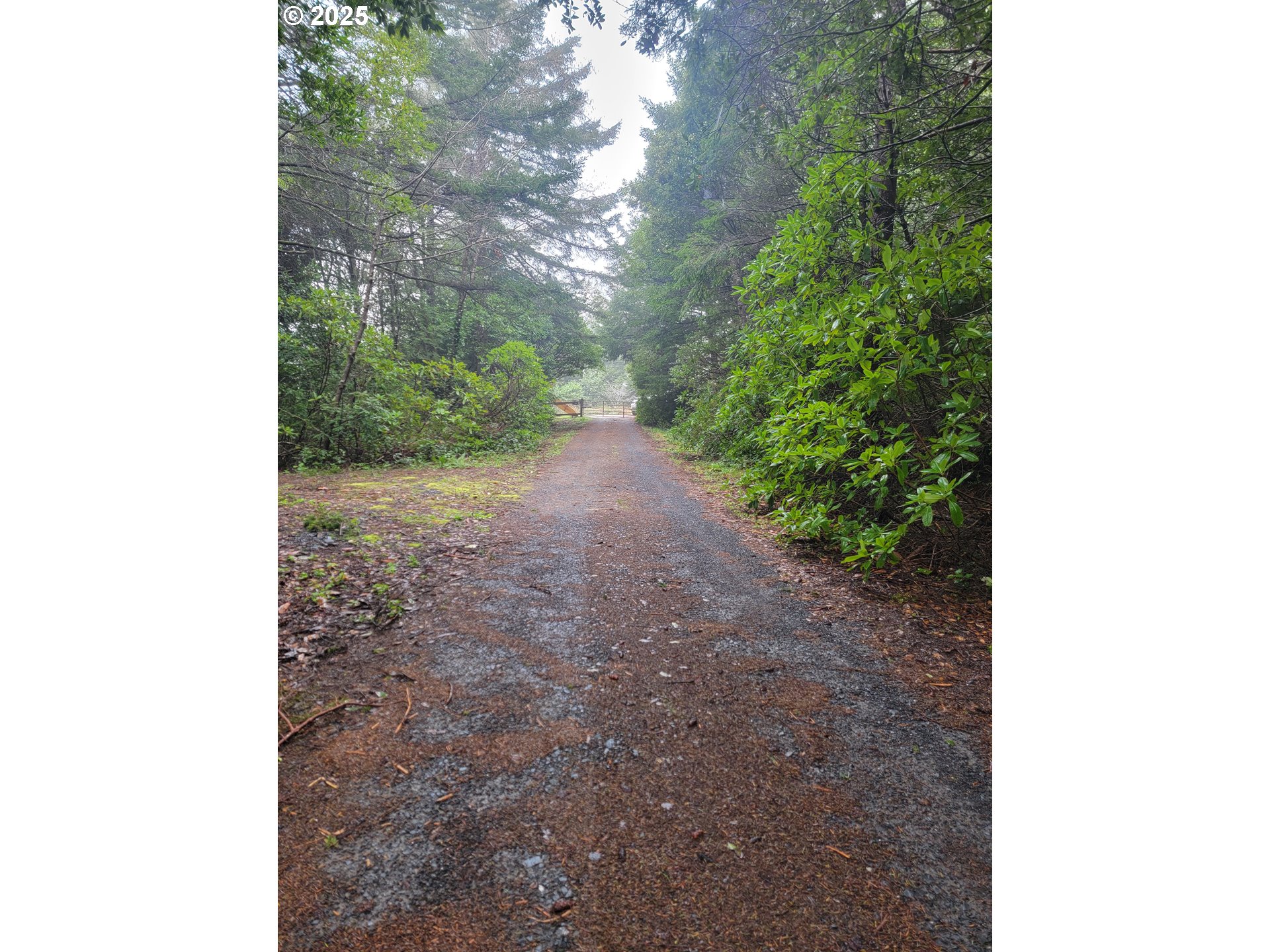 Deady Street Port Orford, OR 97465 - Photo 11 of 17 a view of a yard with plants and a tree