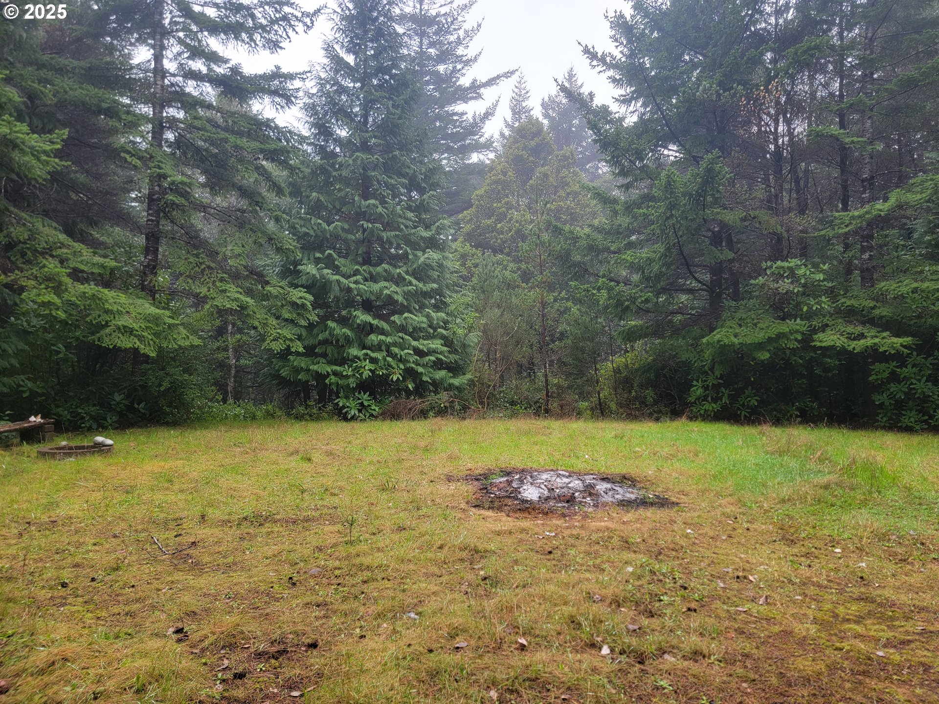 Deady Street Port Orford, OR 97465 - Photo 2 of 17 a view of a field with an trees