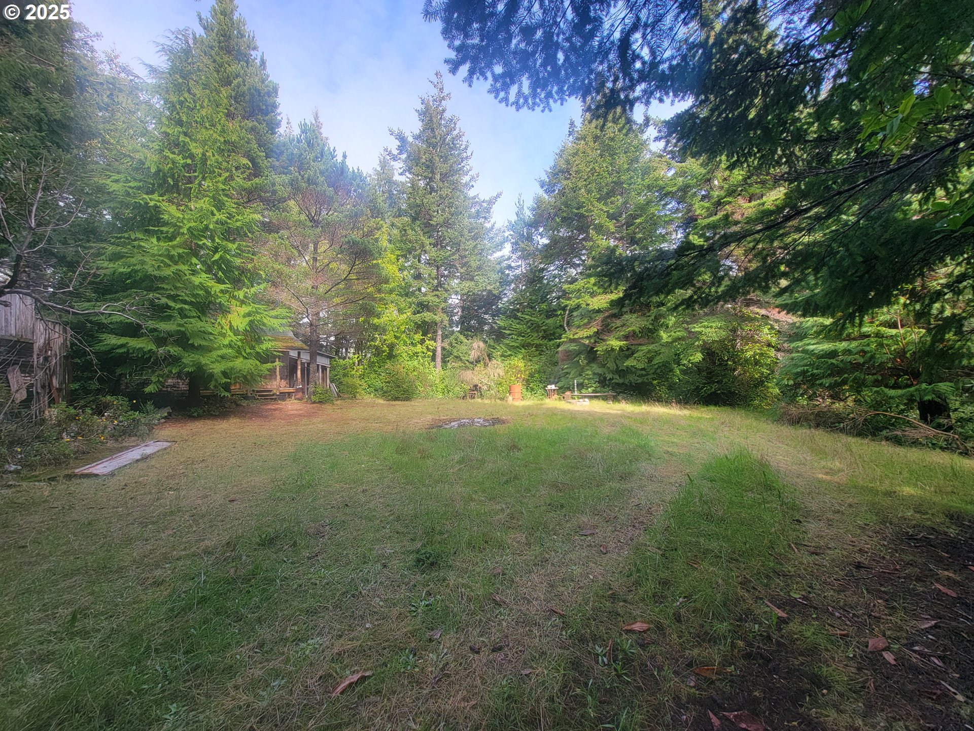 Deady Street Port Orford, OR 97465 - Photo 3 of 17 a view of a yard with a tree