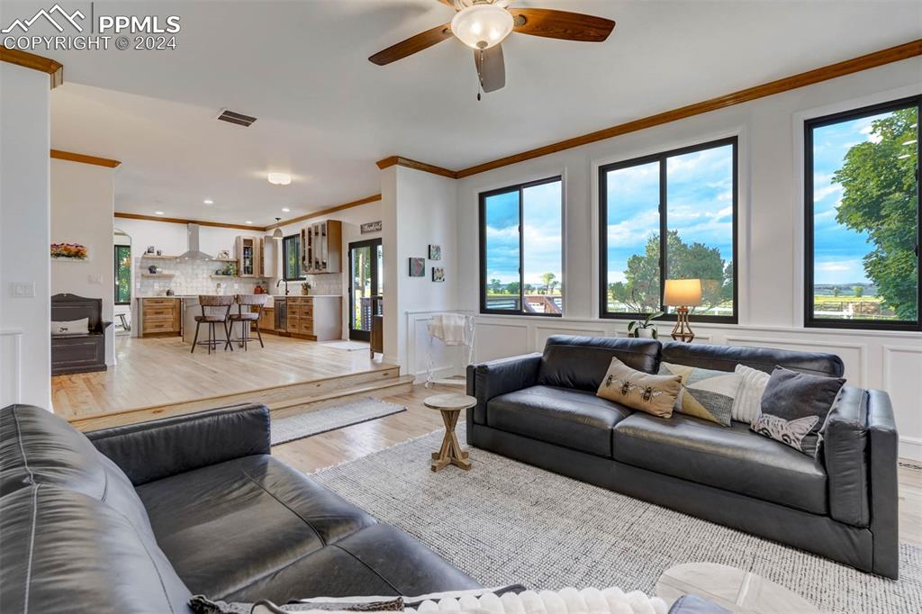 20880 Scott Road Calhan, CO 80808 - Photo 11 of 50 Living room featuring a wealth of natural light, light hardwood / wood-style flooring, ceiling fan, and crown molding