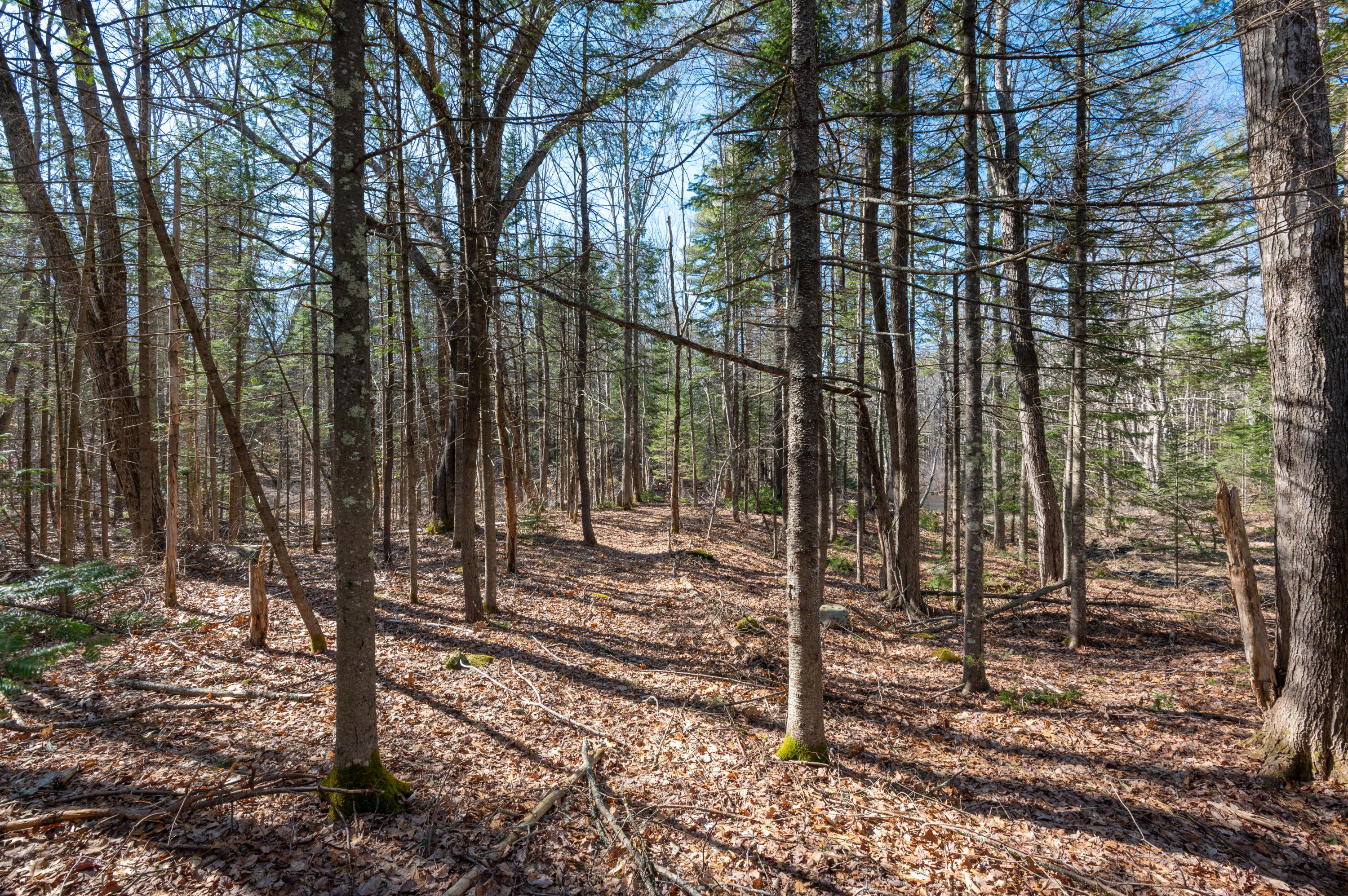 40 Albion Road Windham, ME 04062 - Photo 50 of 53 40_albion-50