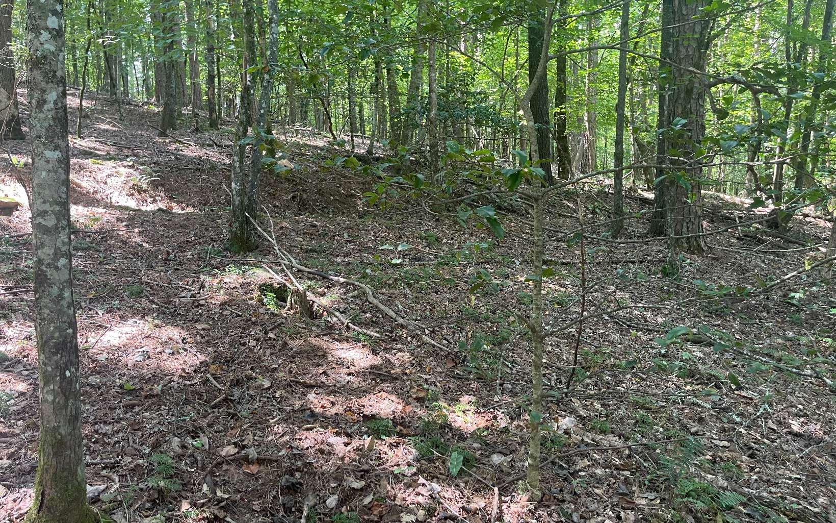 1-2 Hemptown Cliffs Road Morganton, GA 30560 - Photo 11 of 28 Additional View