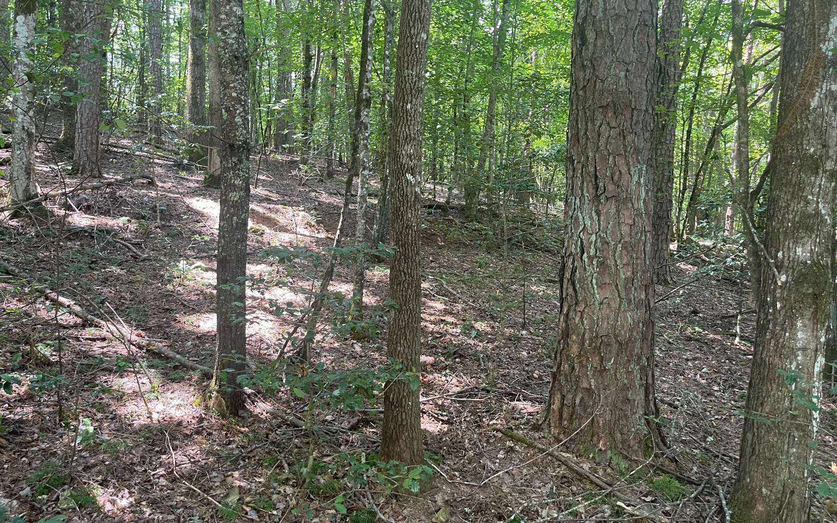 1-2 Hemptown Cliffs Road Morganton, GA 30560 - Photo 12 of 28 Additional View