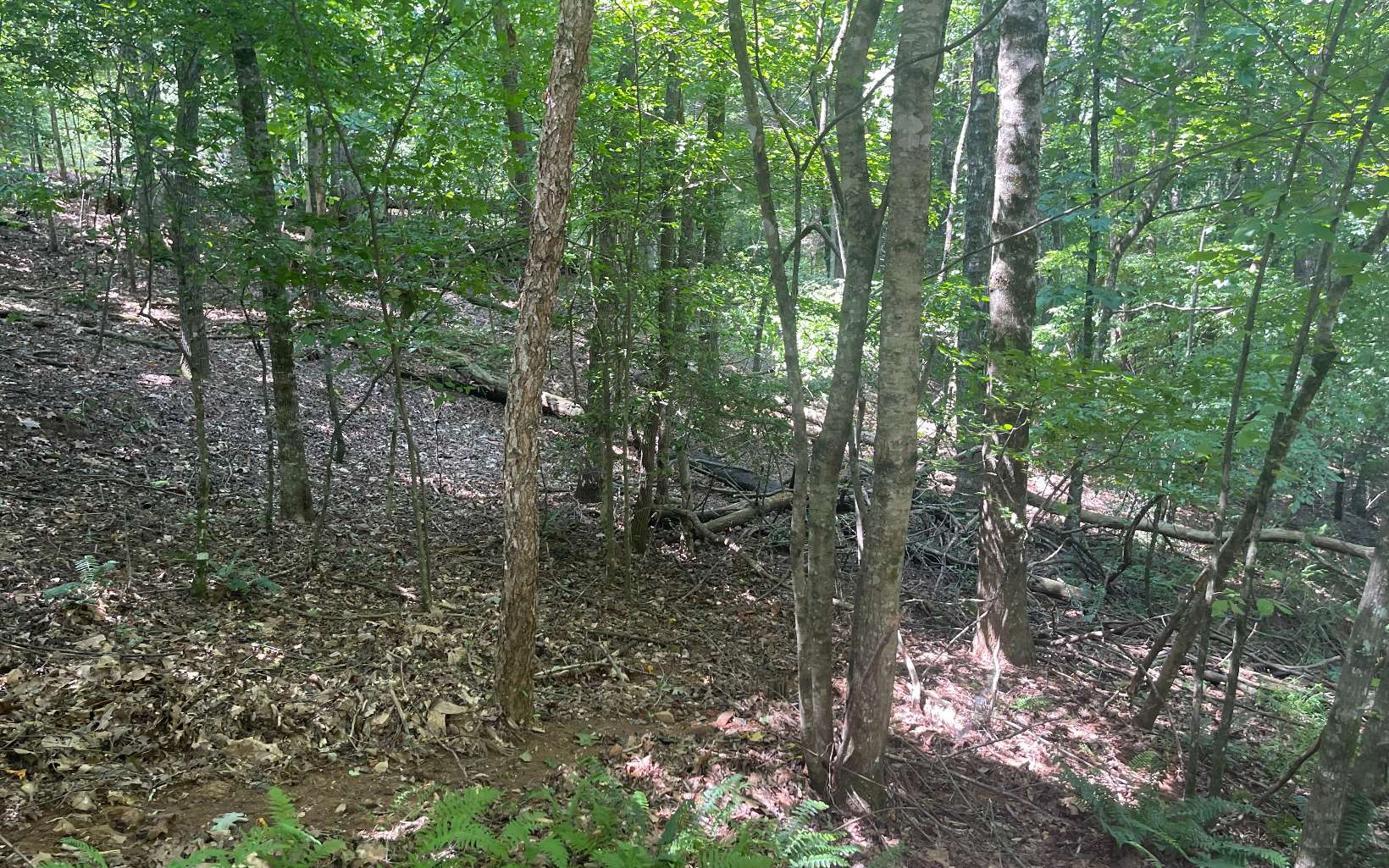 1-2 Hemptown Cliffs Road Morganton, GA 30560 - Photo 13 of 28 Additional View