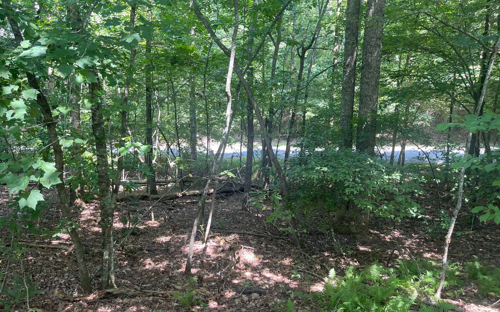 1-2 Hemptown Cliffs Road Morganton, GA 30560 - Photo 14 of 28 Additional View