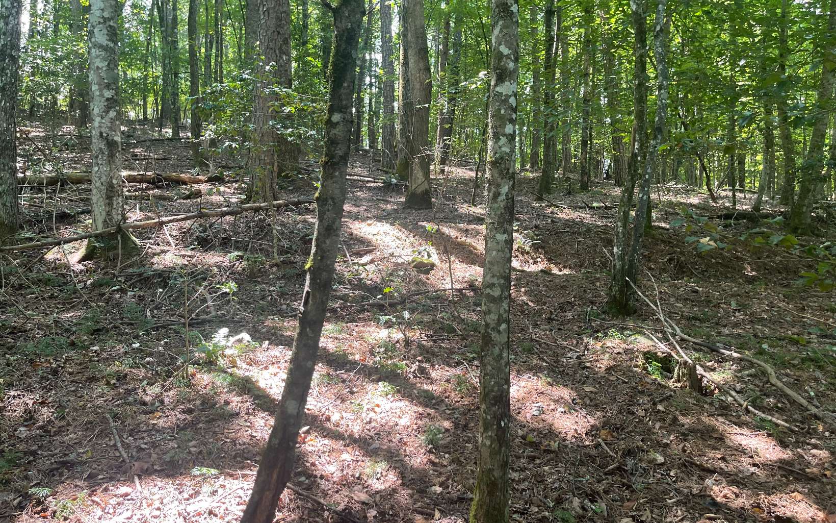 1-2 Hemptown Cliffs Road Morganton, GA 30560 - Photo 16 of 28 Additional View