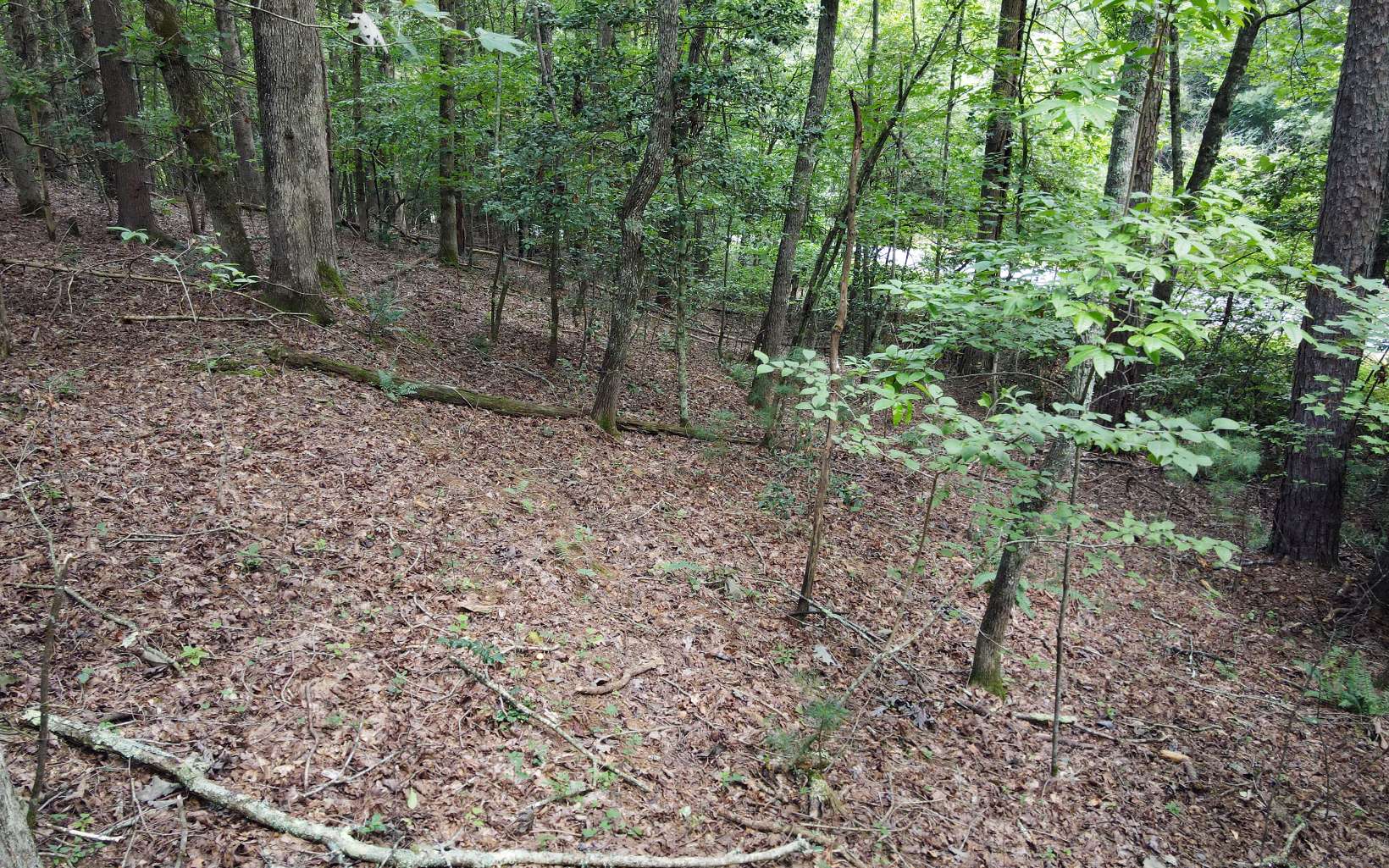 1-2 Hemptown Cliffs Road Morganton, GA 30560 - Photo 18 of 28 Additional View