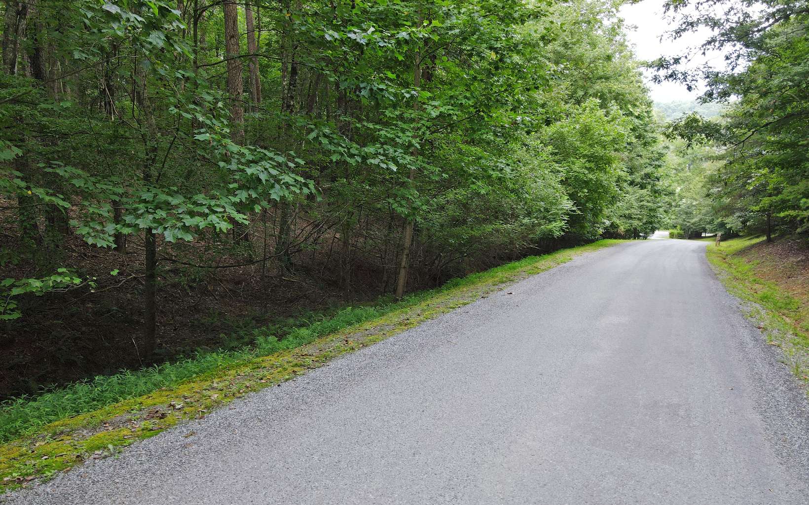 1-2 Hemptown Cliffs Road Morganton, GA 30560 - Photo 19 of 28 Additional View