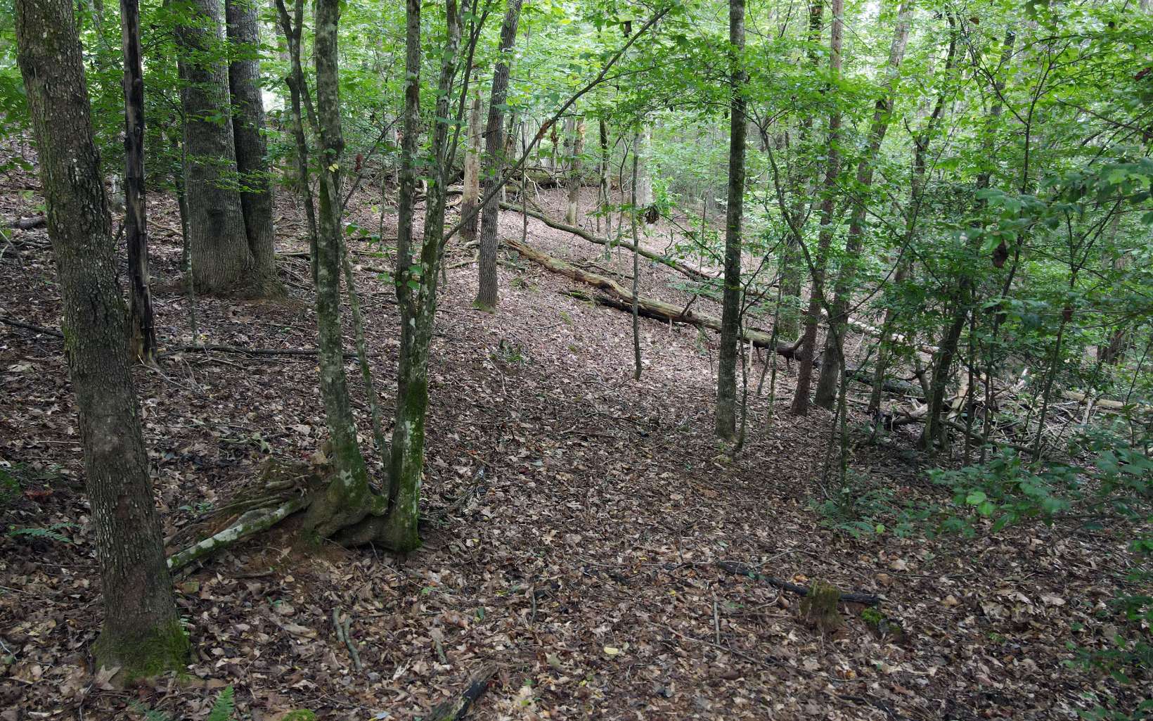 1-2 Hemptown Cliffs Road Morganton, GA 30560 - Photo 2 of 28 Additional View