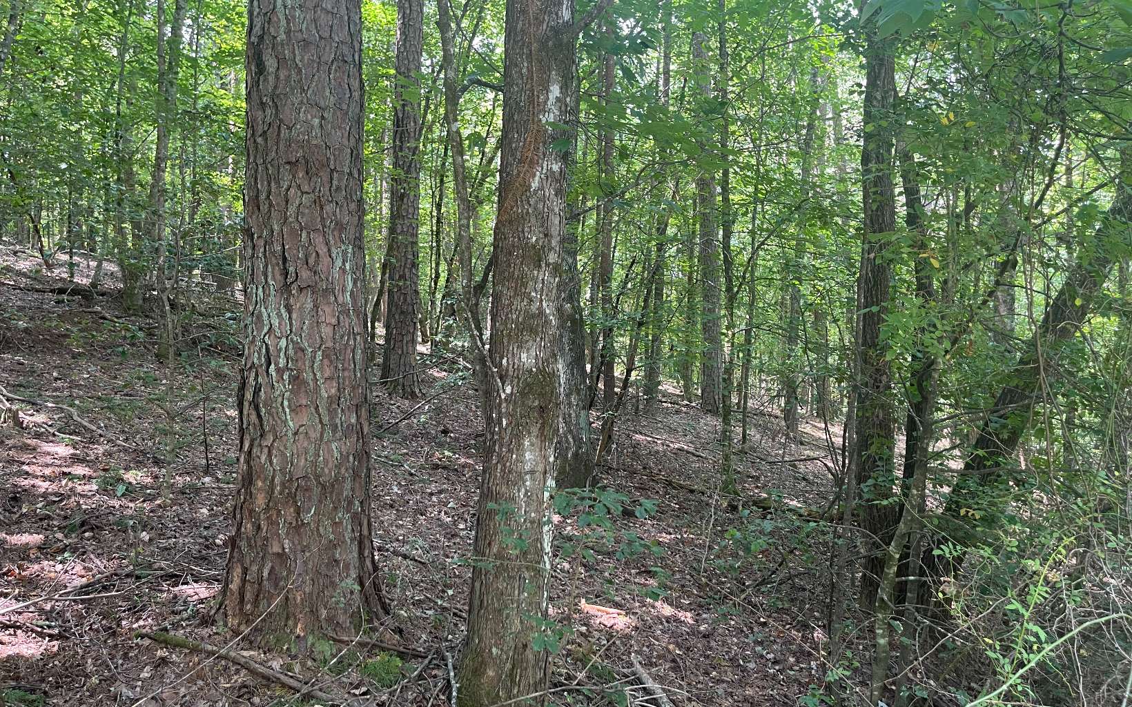 1-2 Hemptown Cliffs Road Morganton, GA 30560 - Photo 23 of 28 Additional View