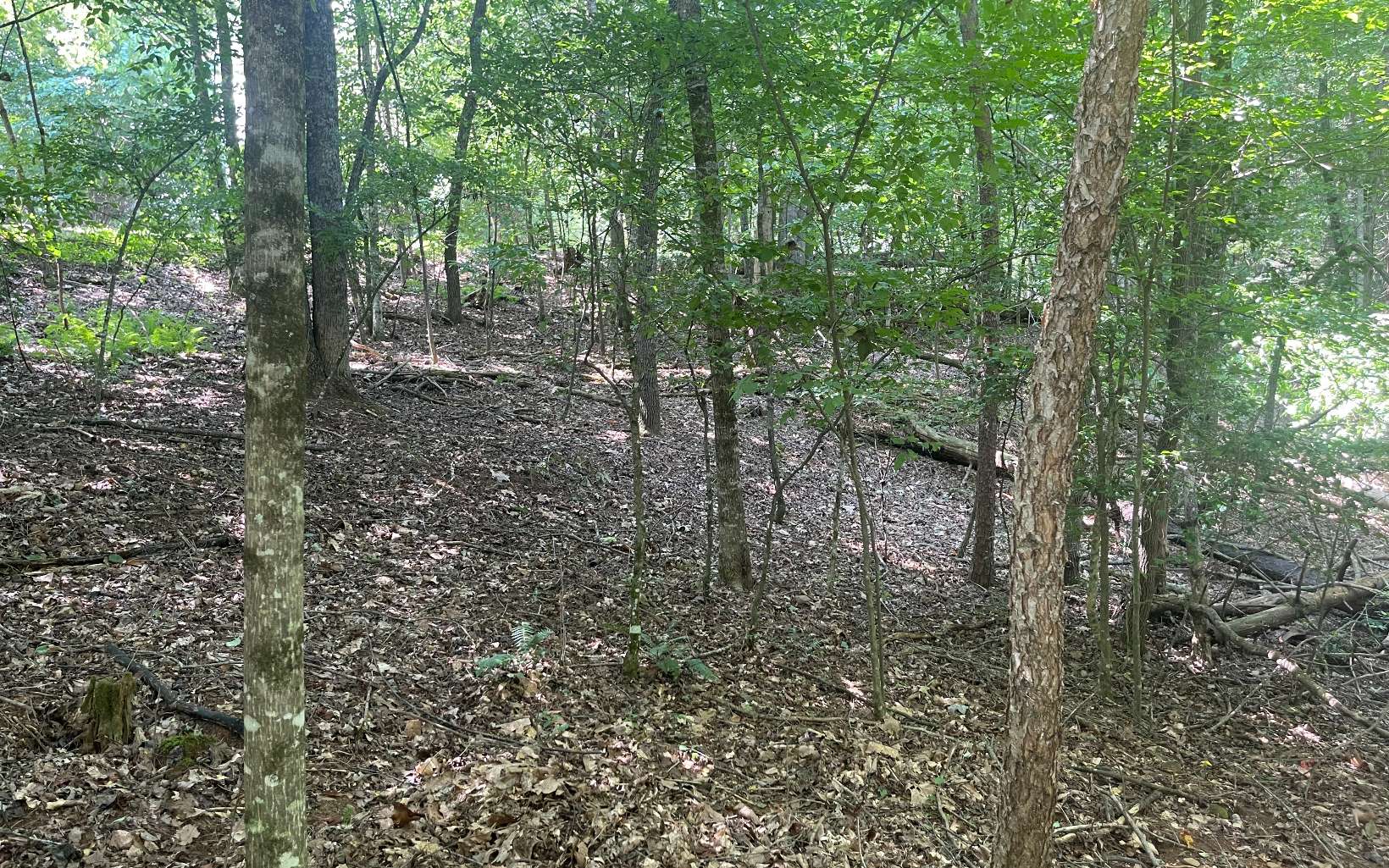 1-2 Hemptown Cliffs Road Morganton, GA 30560 - Photo 24 of 28 Additional View