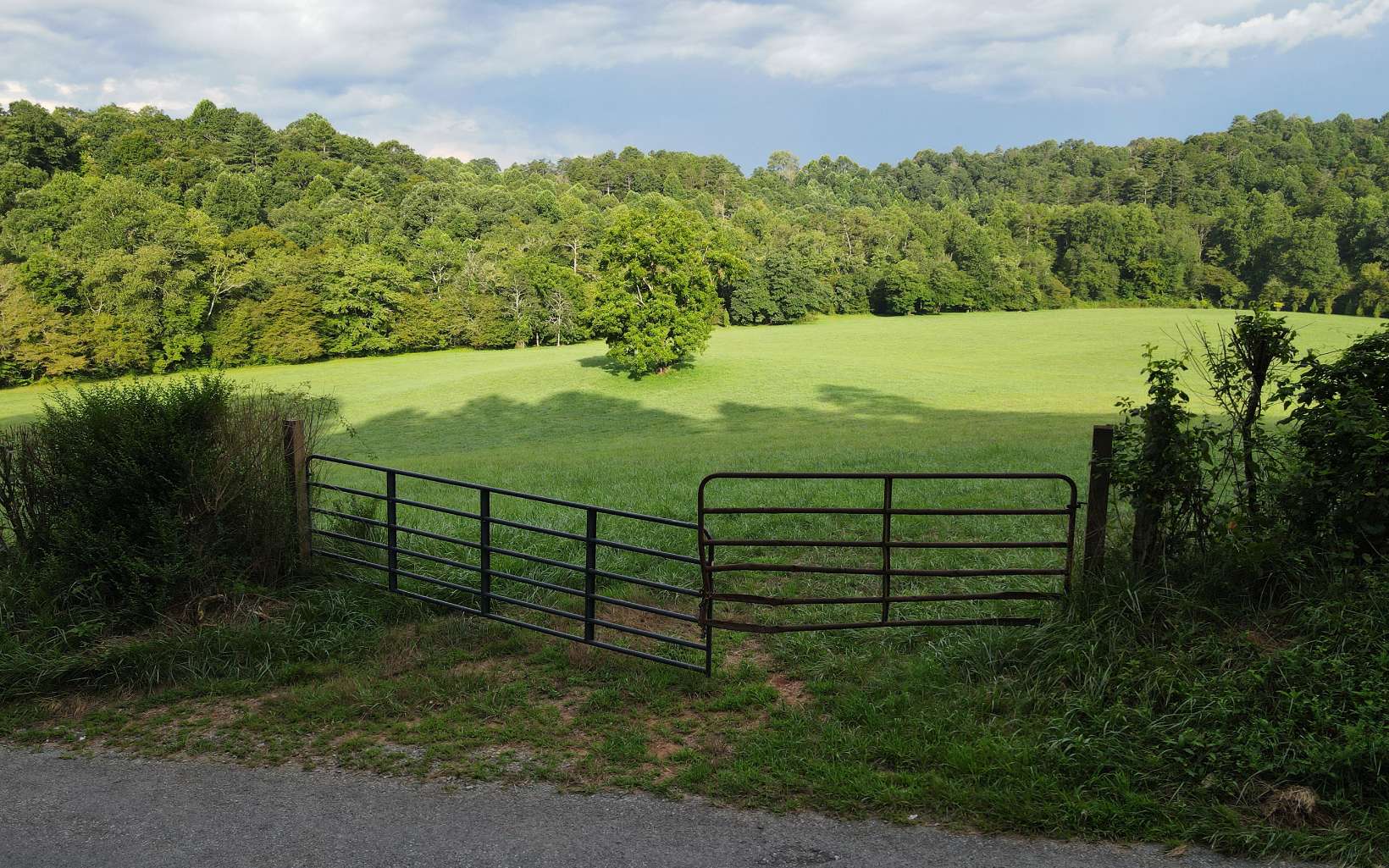 1-2 Hemptown Cliffs Road Morganton, GA 30560 - Photo 5 of 28 Additional View